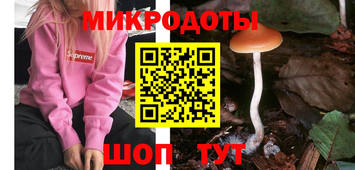 Псилоцибиновые грибы прущие грибы Баксан