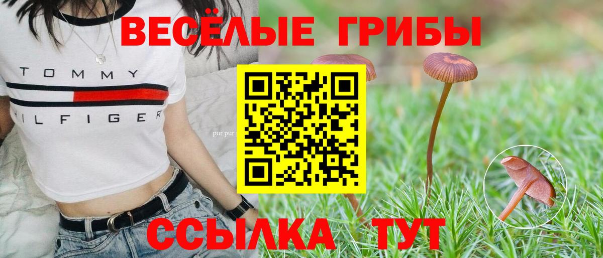 Псилоцибиновые грибы Psilocybine cubensis  Вход с VPN  Псилоцибиновые грибы Psilocybe  Баксан 
